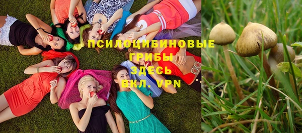 прущая мука Армянск
