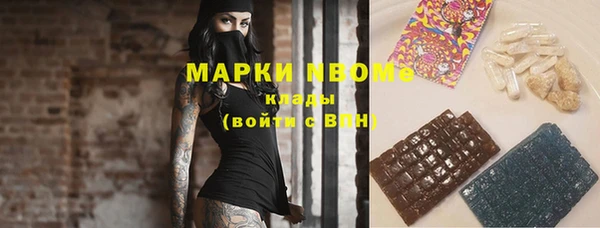 шишки Аркадак