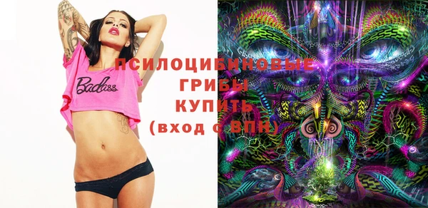 прущая мука Армянск