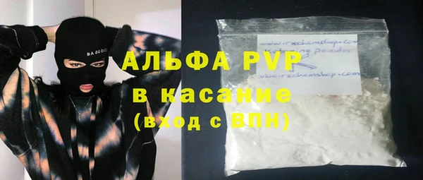 шишки Аркадак