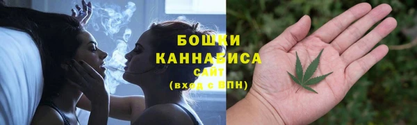 шишки Аркадак
