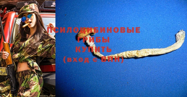 шишки Аркадак