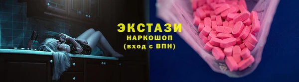 шишки Аркадак