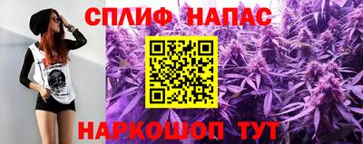 гидра Камышлов