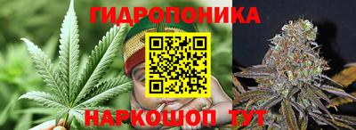 гидра Камышлов