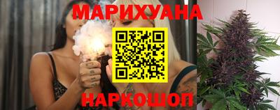 гидра Камышлов