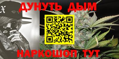 гидра Камышлов