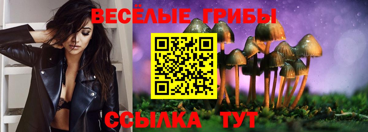 Кулебаки  Псилоцибиновые грибы прущие грибы  Вход с VPN 